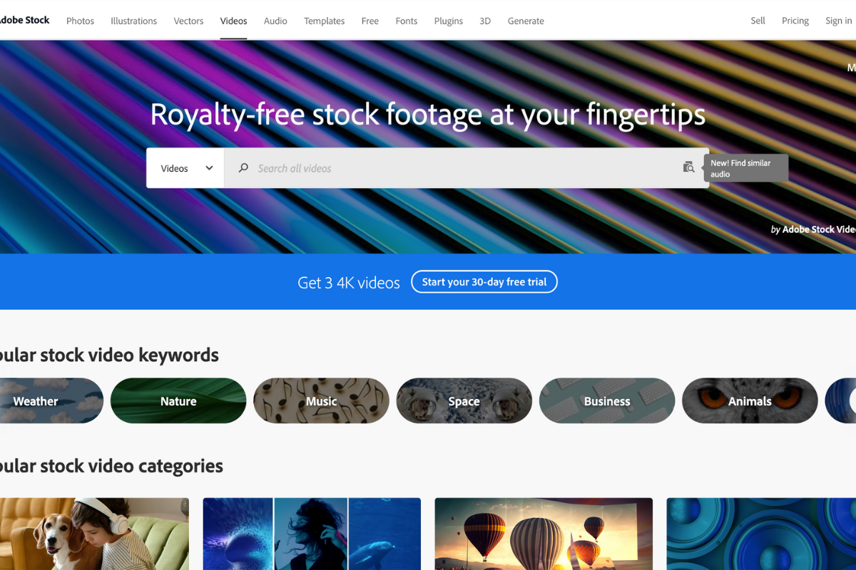 Adobe Stock